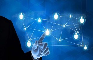 全网营销大趋势 网络技术服务行业的新机遇与变革